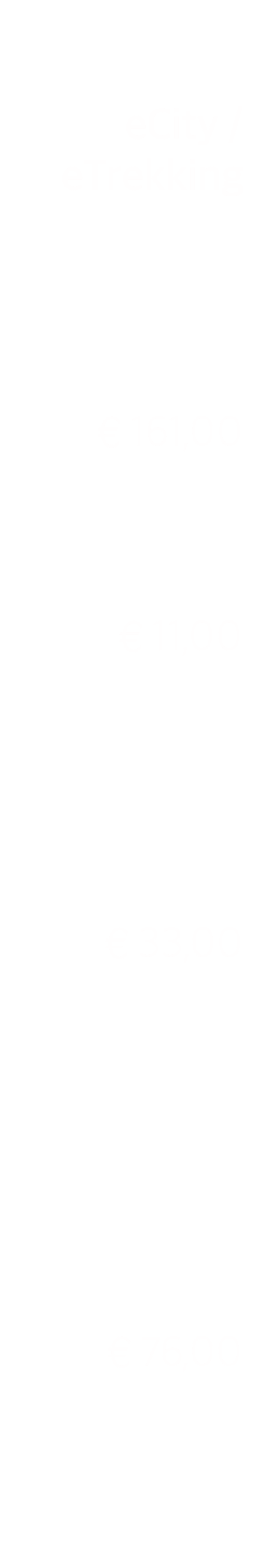   eCity / eTrekking     € 161,00    € 11,00      € 33,00        € 76,00   