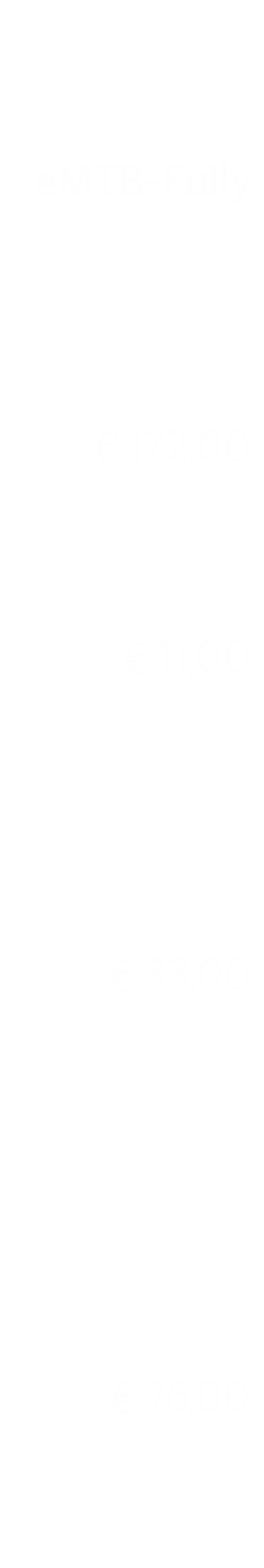    eMTB-Fully     € 172,00    € 11,00      € 33,00        € 76,00  